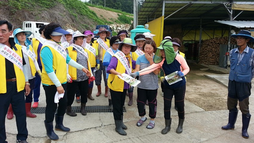 3.가시박 제거작업과 폐수배출 축산농가 지도계몽 실시